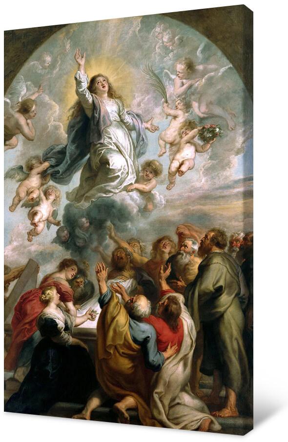 Paveikslėlis Piteris Paulius Rubensas – Švenčiausiosios Mergelės Marijos Ėmimas į dangų