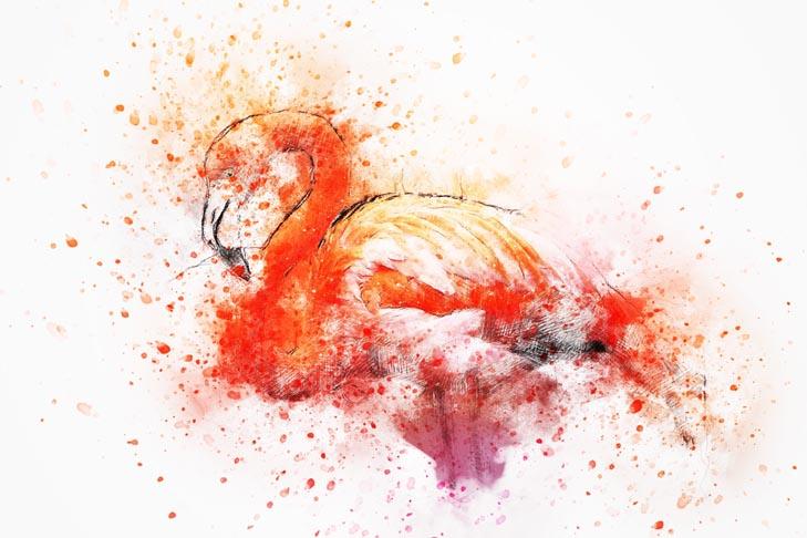 Picture Watercolor flamingo 3