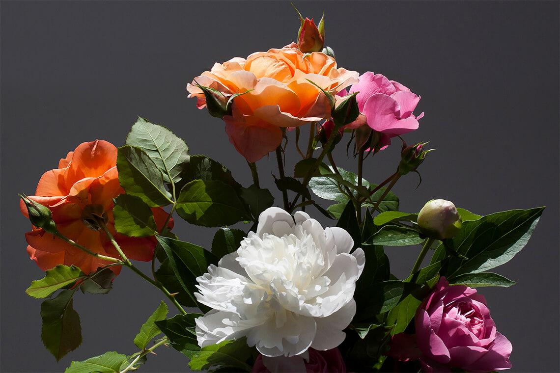 Bild Blumenstrauß aus Rosen und Pfingstrosen 2