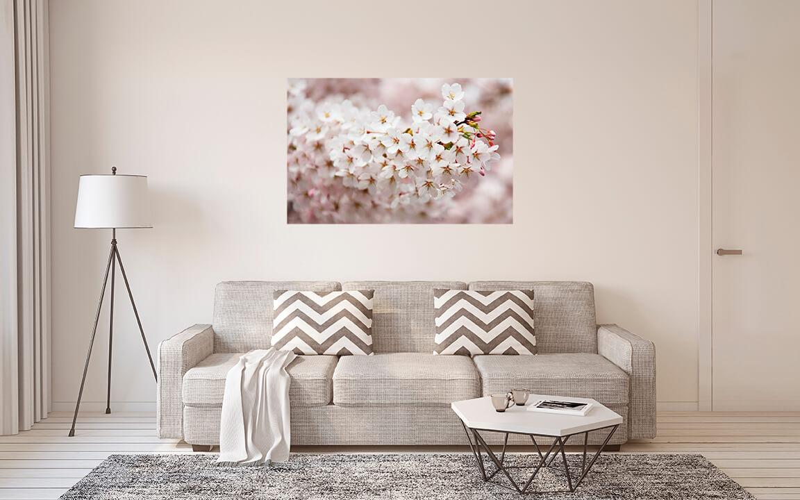 Картинка Цветущая вишневая ветка 3