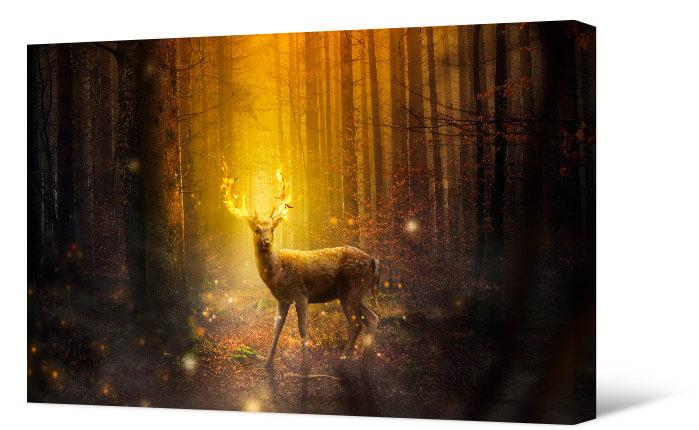 Picture Magical deer