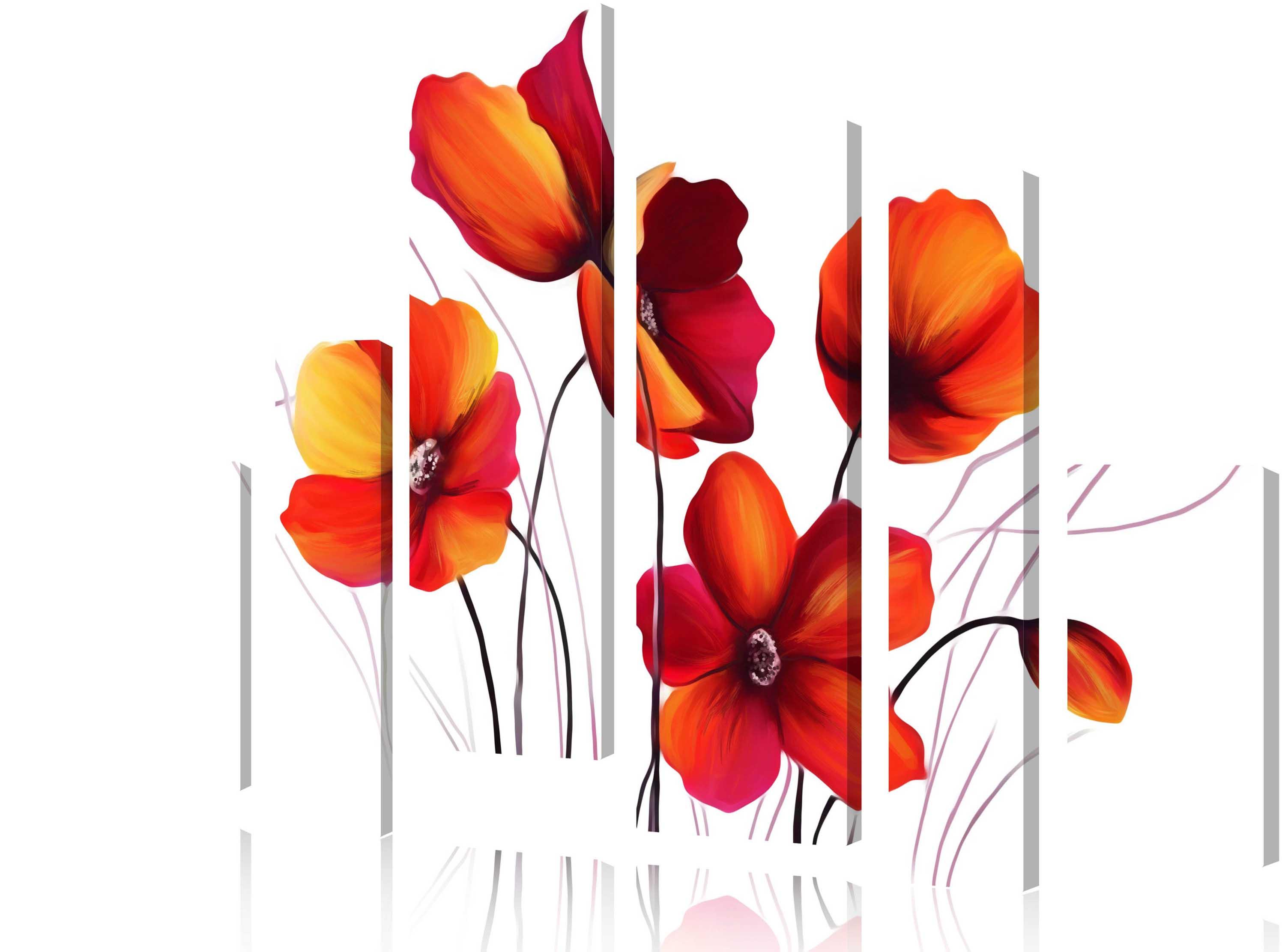Picture Modular picture - poppies on a white background 4