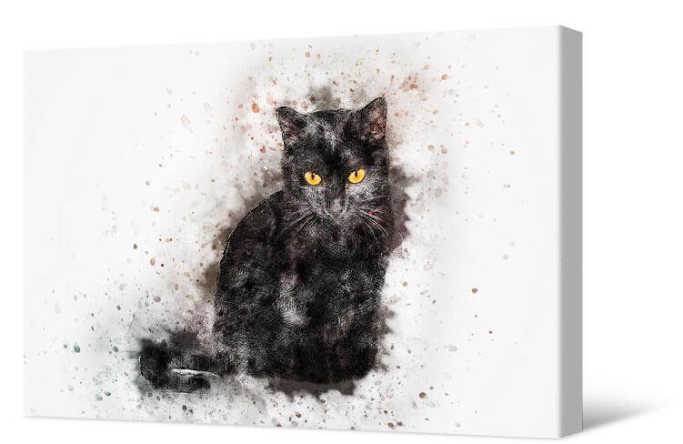 Картинка Черный кот