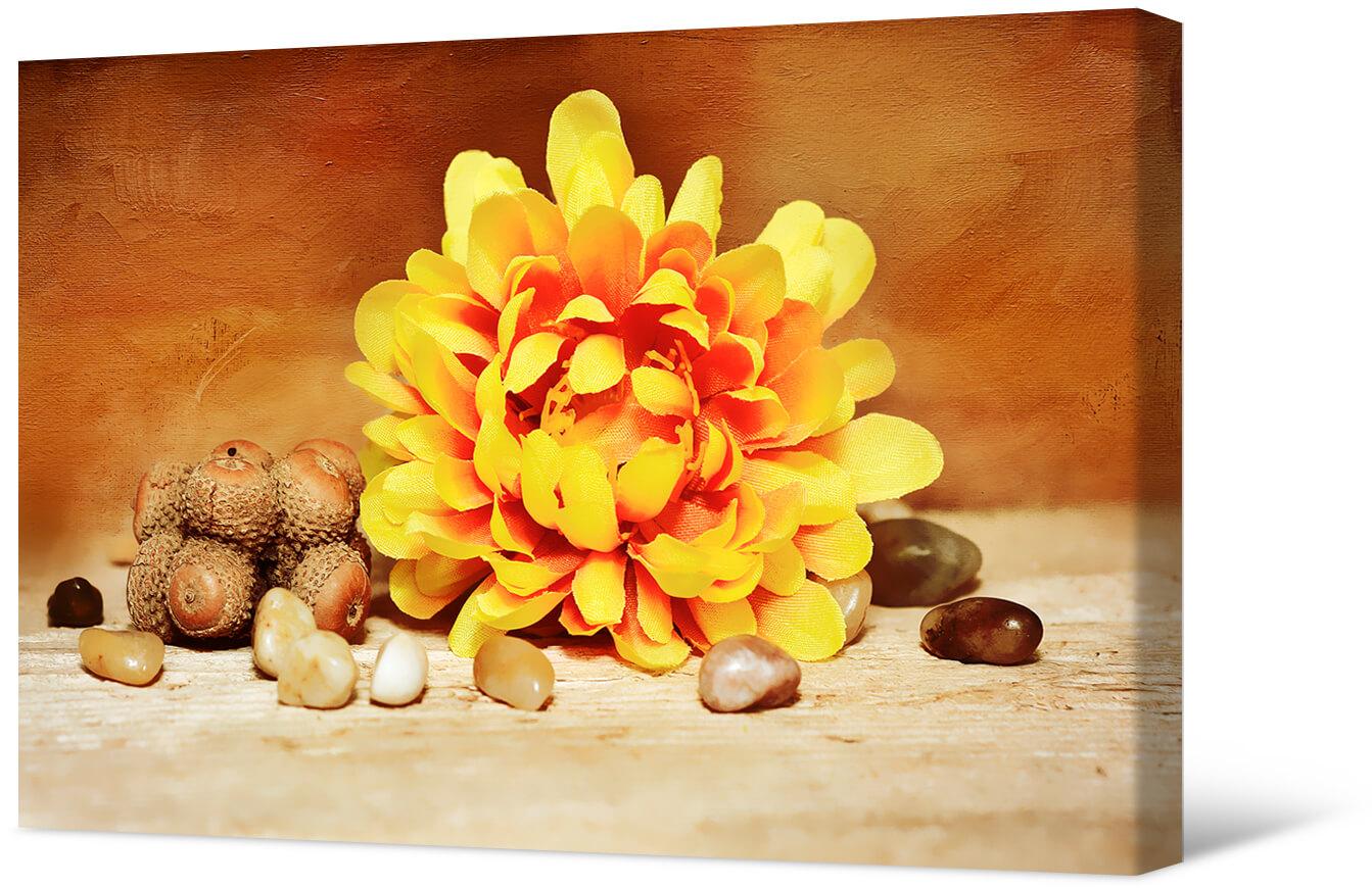 Bild Stilleben mit gelber Blume und Eicheln
