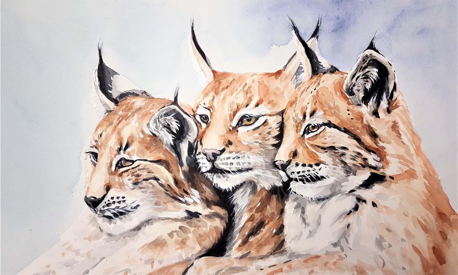 Picture Watercolor lynxes 3