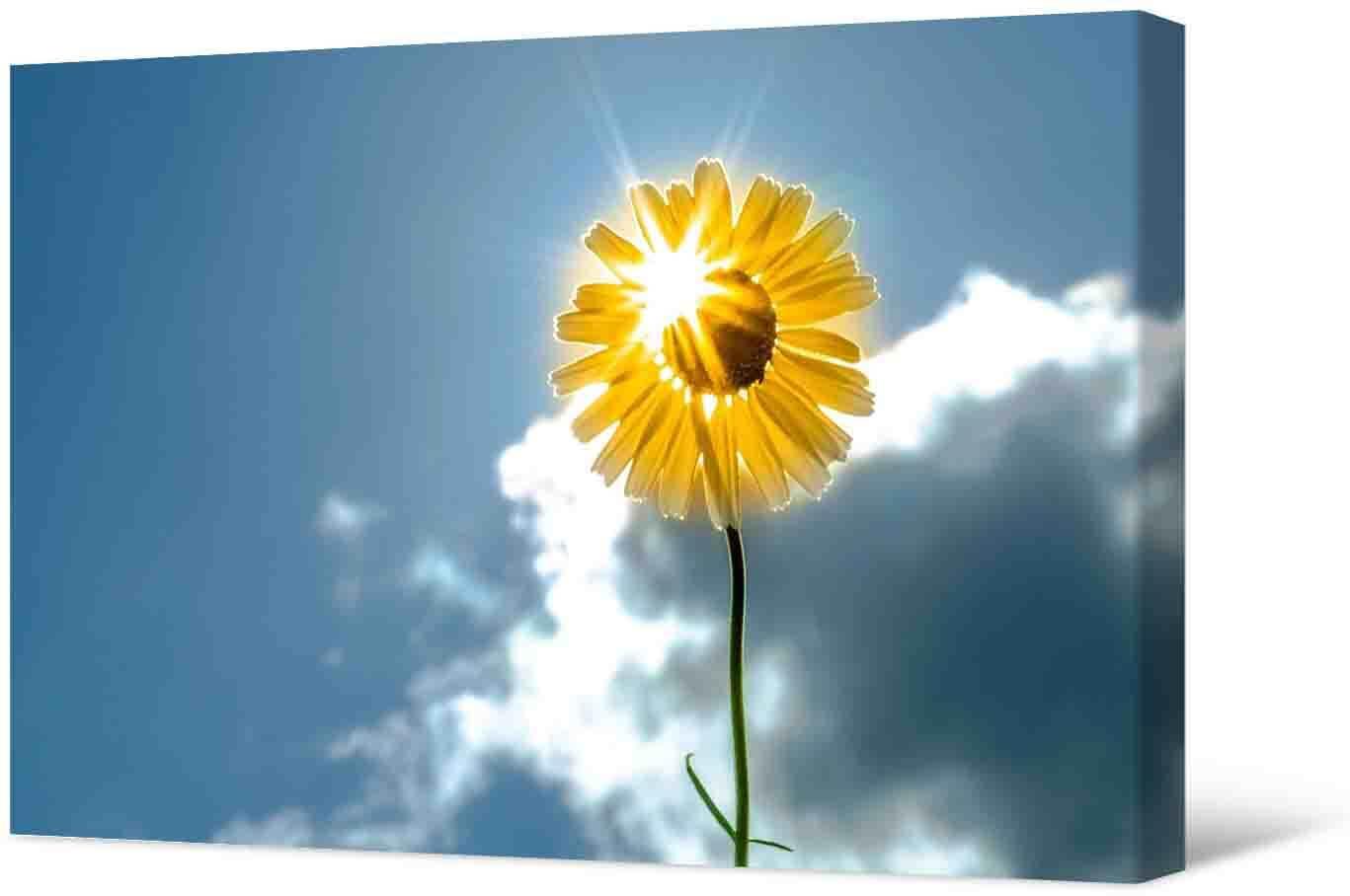Paveikslėlis Nuotrauka - geltona gėlė saulės fone