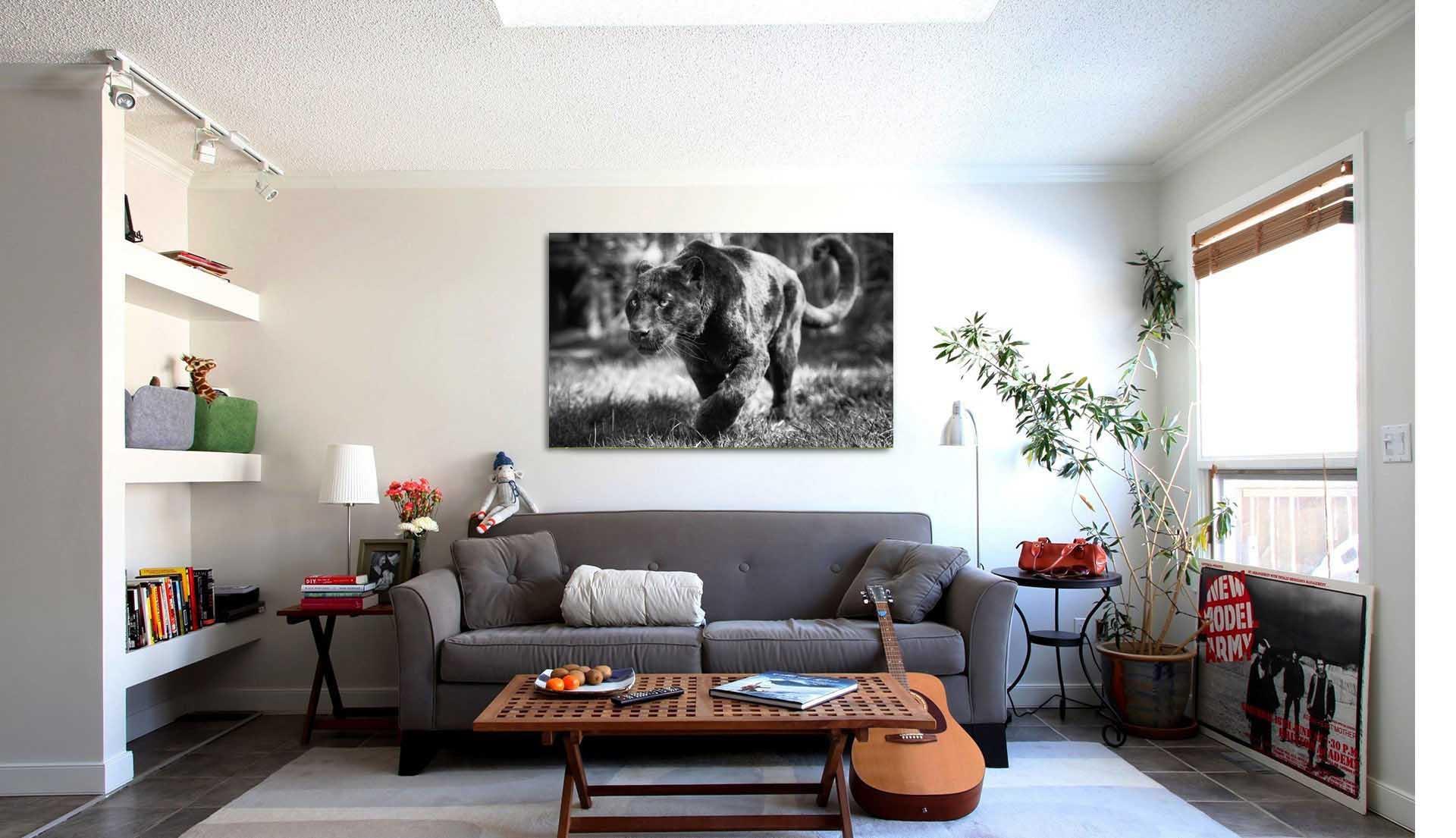 Fotoattēlā - melnā pantera