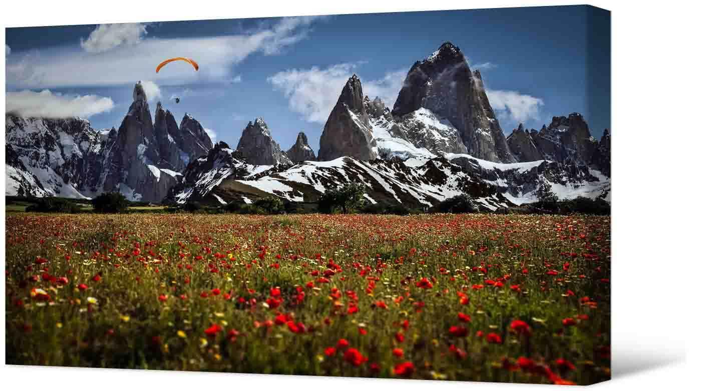 Фотокартина - красивое поле и горы