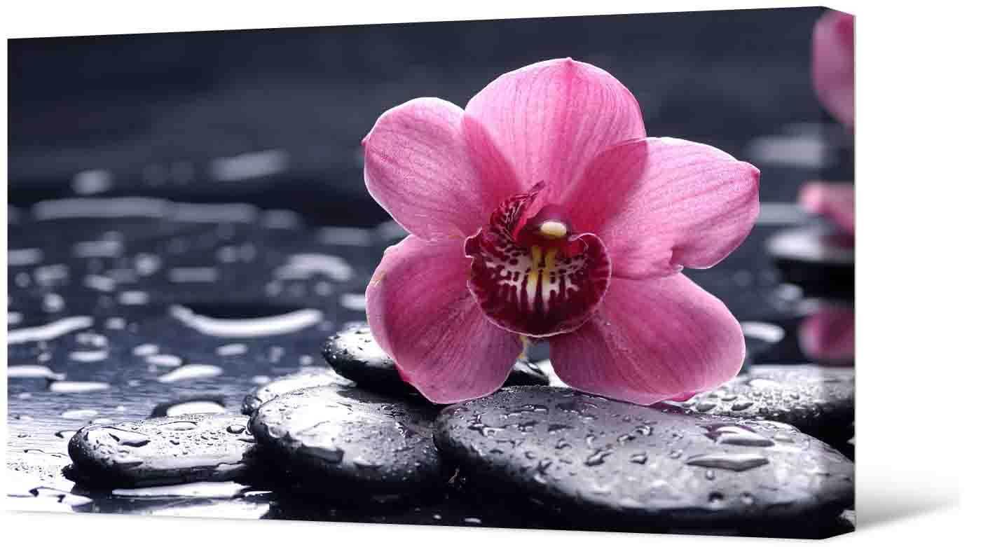 Bilde Fotoattēlā - skaists rozā zieds
