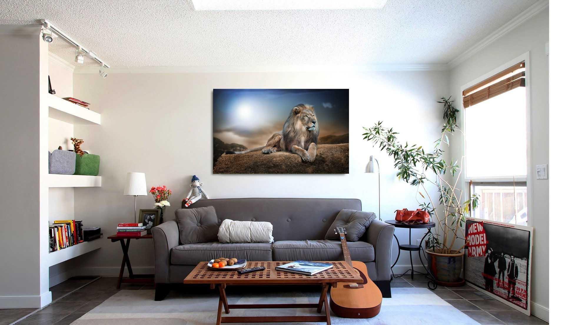 Nuotrauka - liūtas karalius