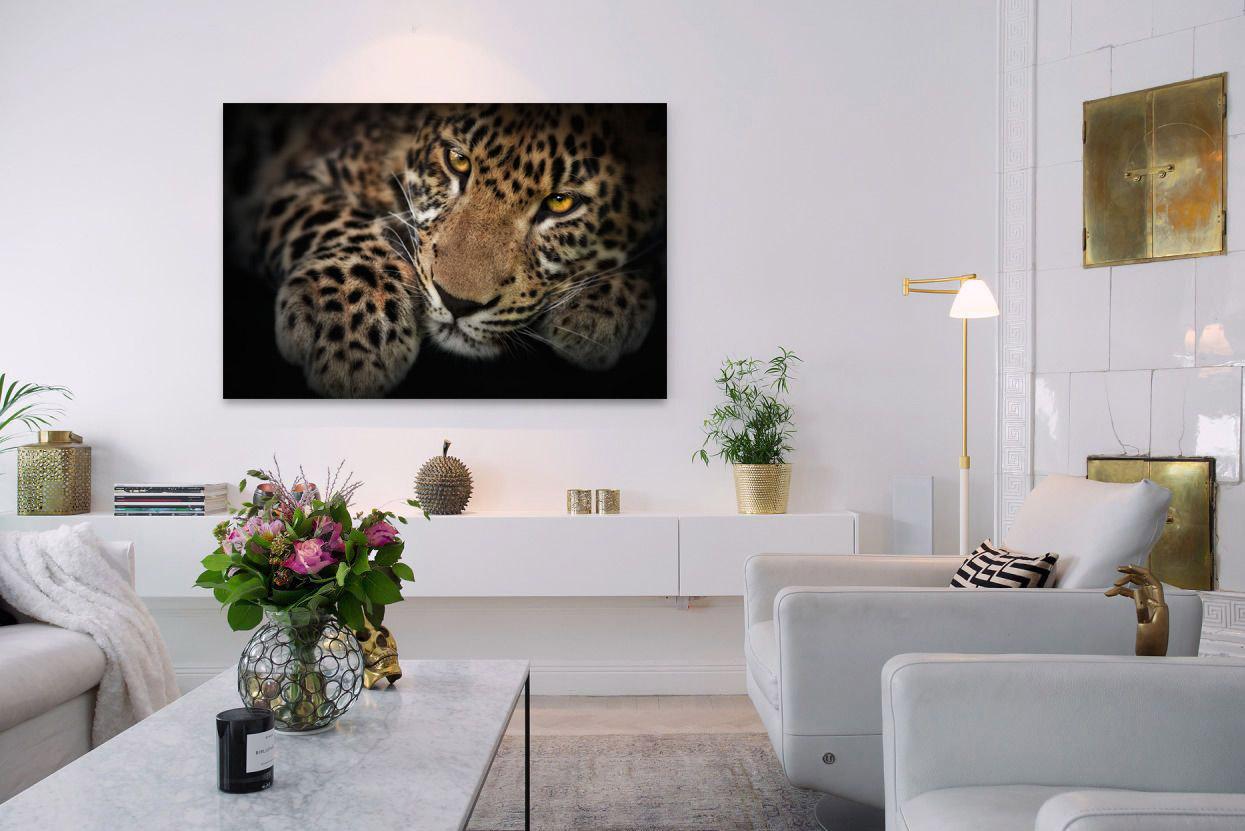 Fotobild - prächtiger Jaguar