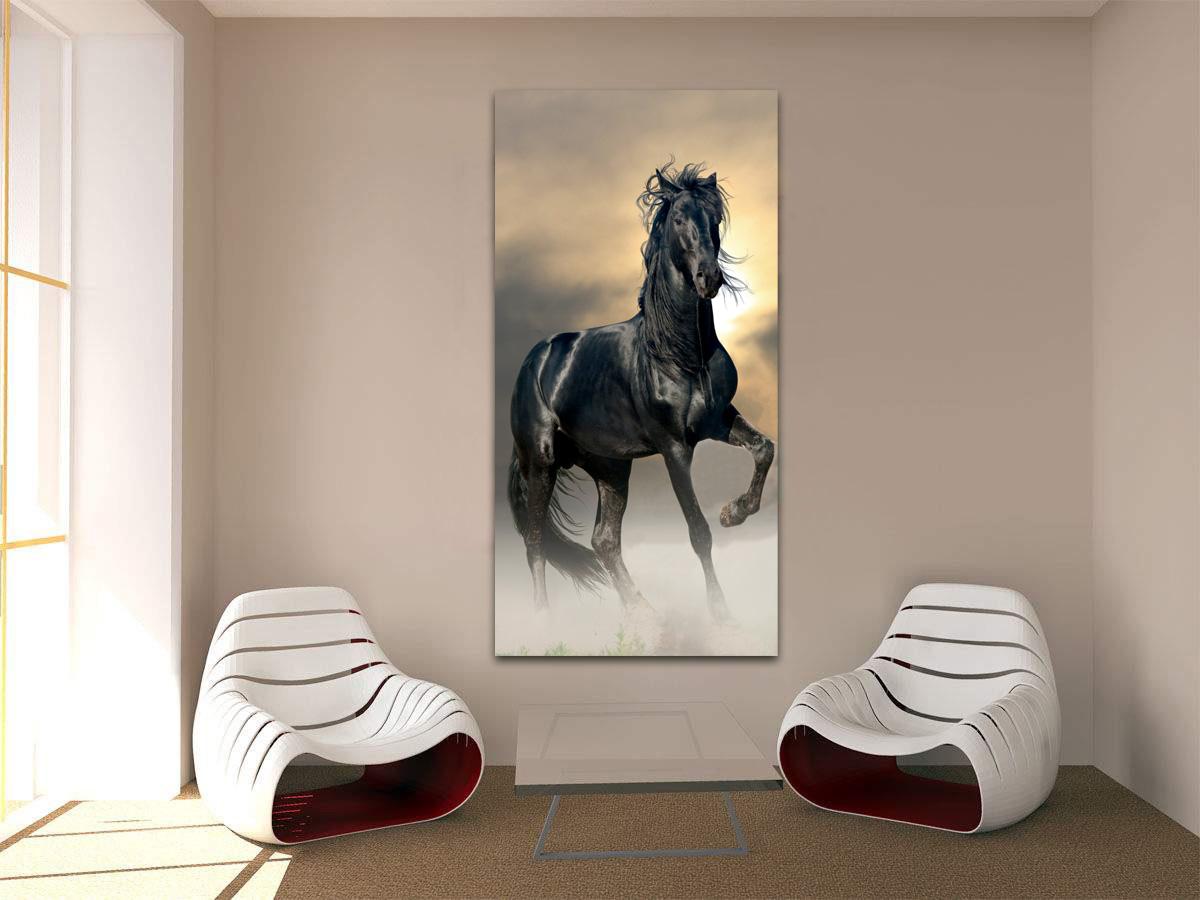 Fotobild - schwarzes Pferd