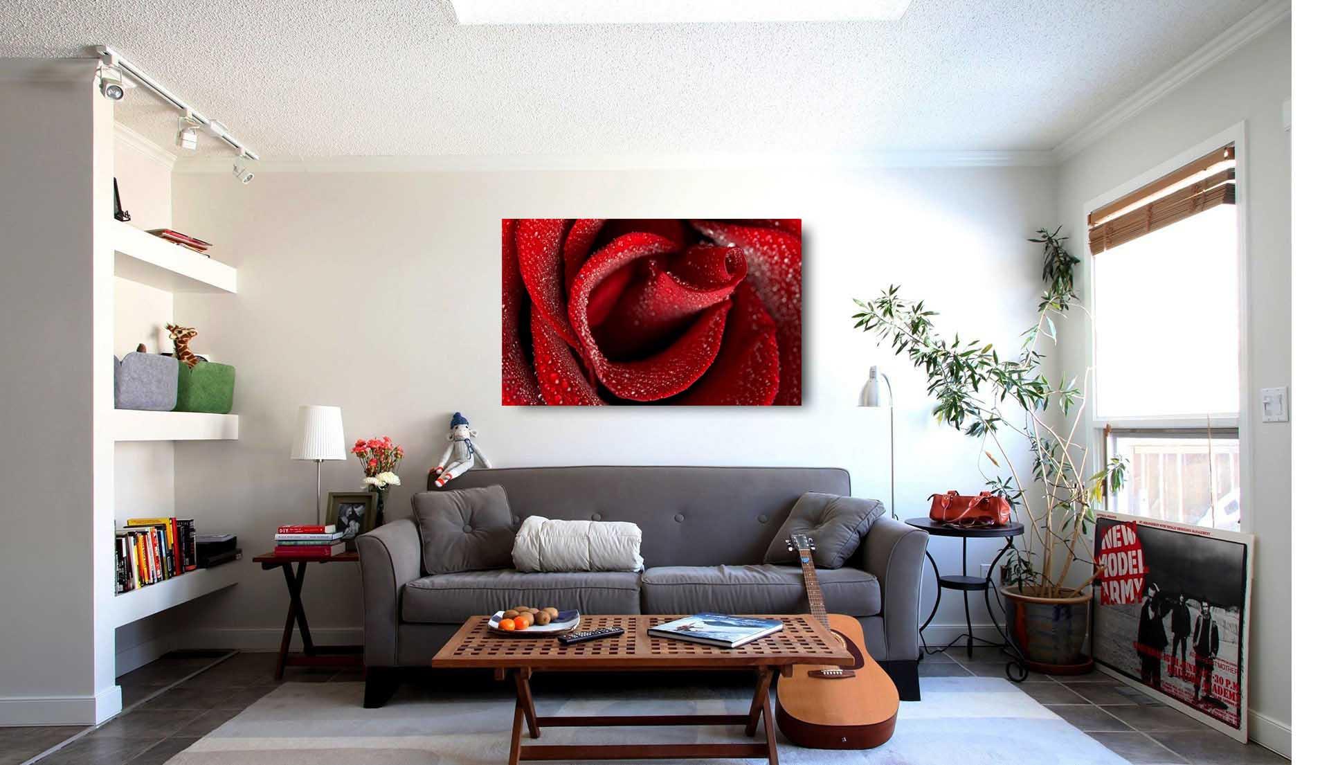Fotoattēlā - skaista sarkana roze