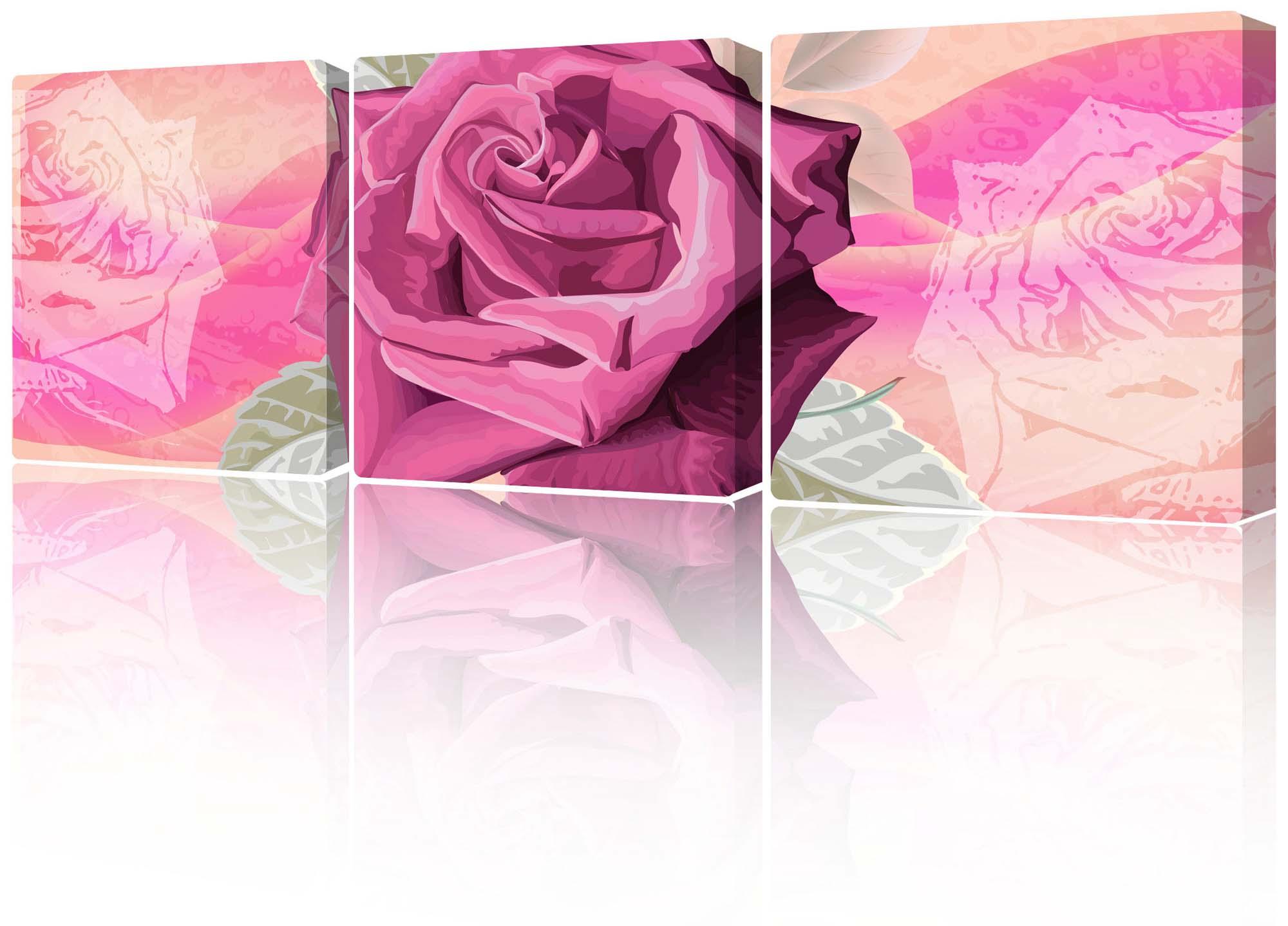 Moduļu bilde - skaista ziedoša roze