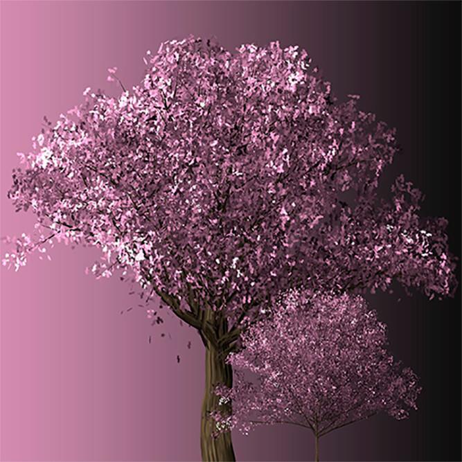 Obrazek Kwitnące drzewo 2