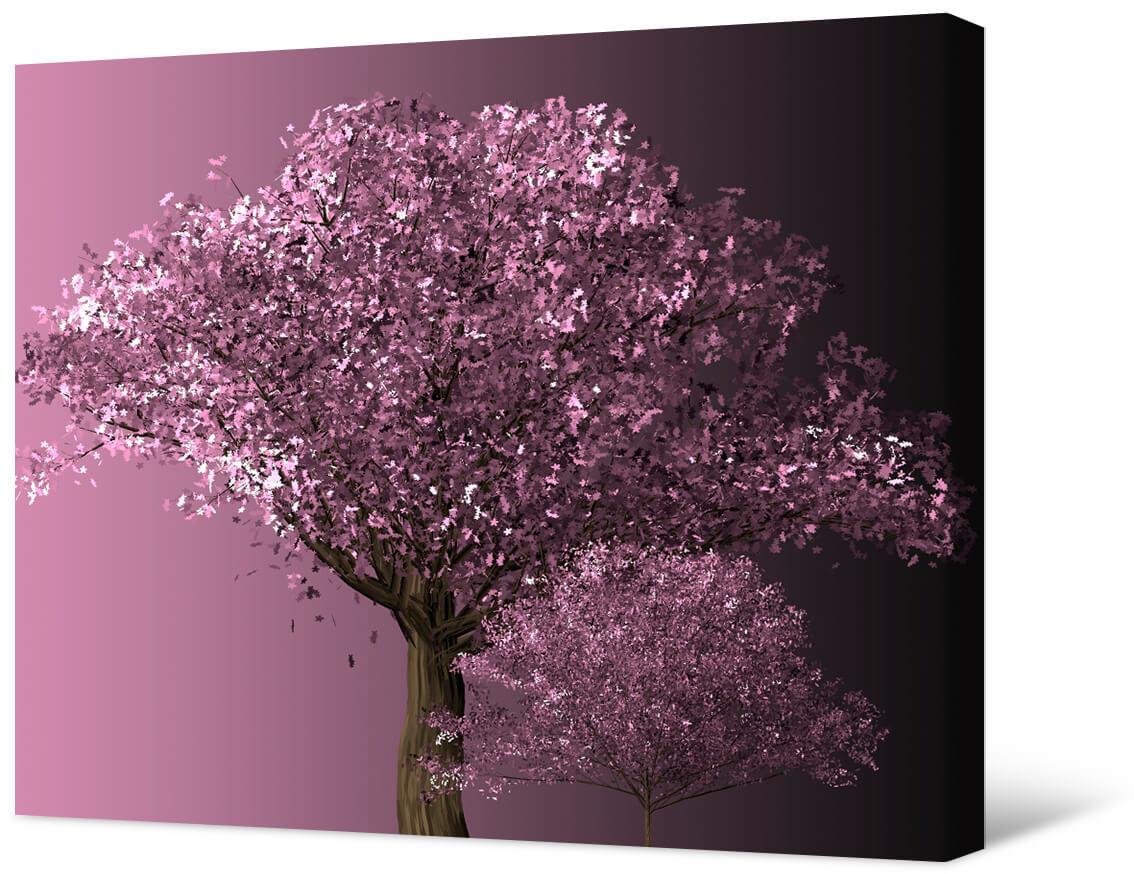 Obrazek Kwitnące drzewo