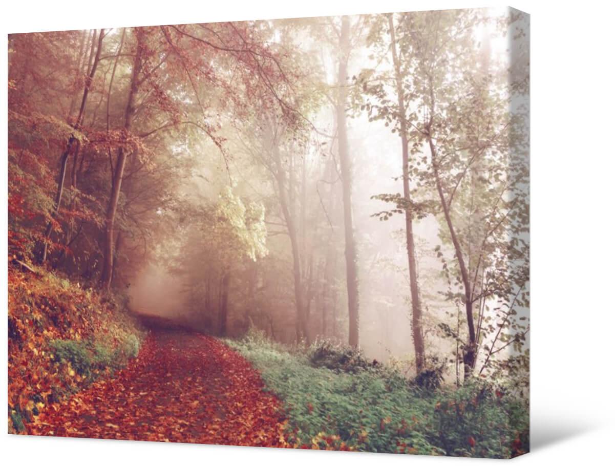 Fotomalerei auf Leinwand - Herbstwanderweg