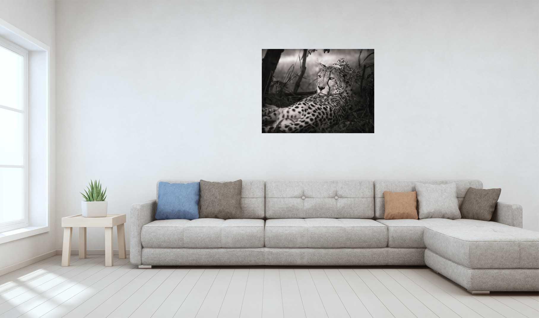 Picture Leopard black and white 2