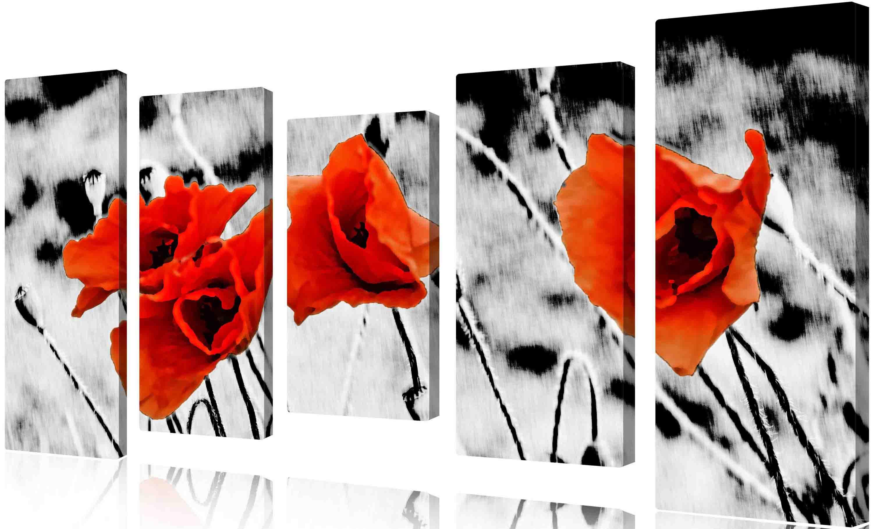 Bild Modulares Bild - Mohnblumen auf weißem Hintergrund