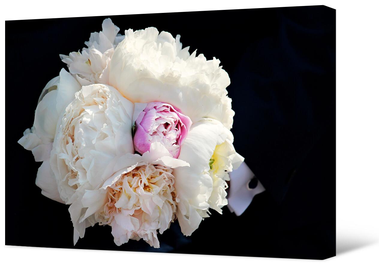 Picture White peonies