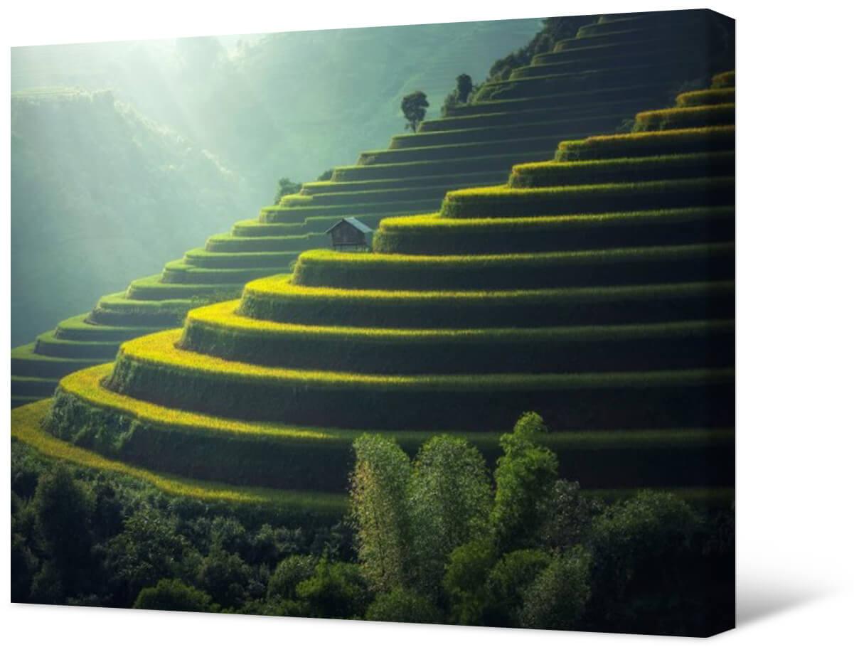 Photo painting on canvas - Rice fields in Thailand