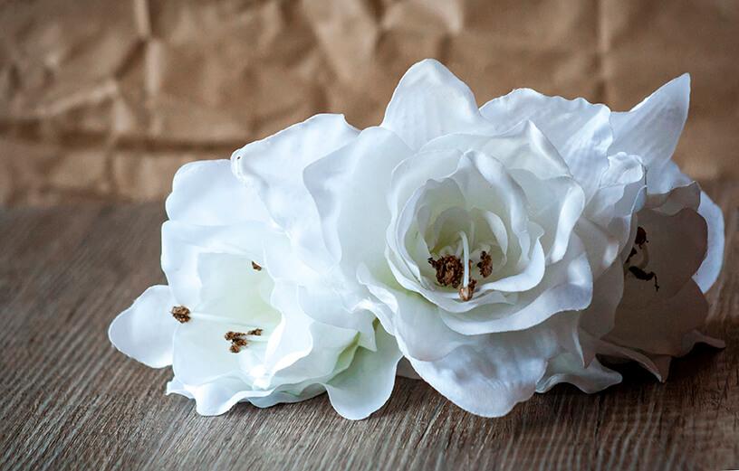 Baltos gėlės ant stalo