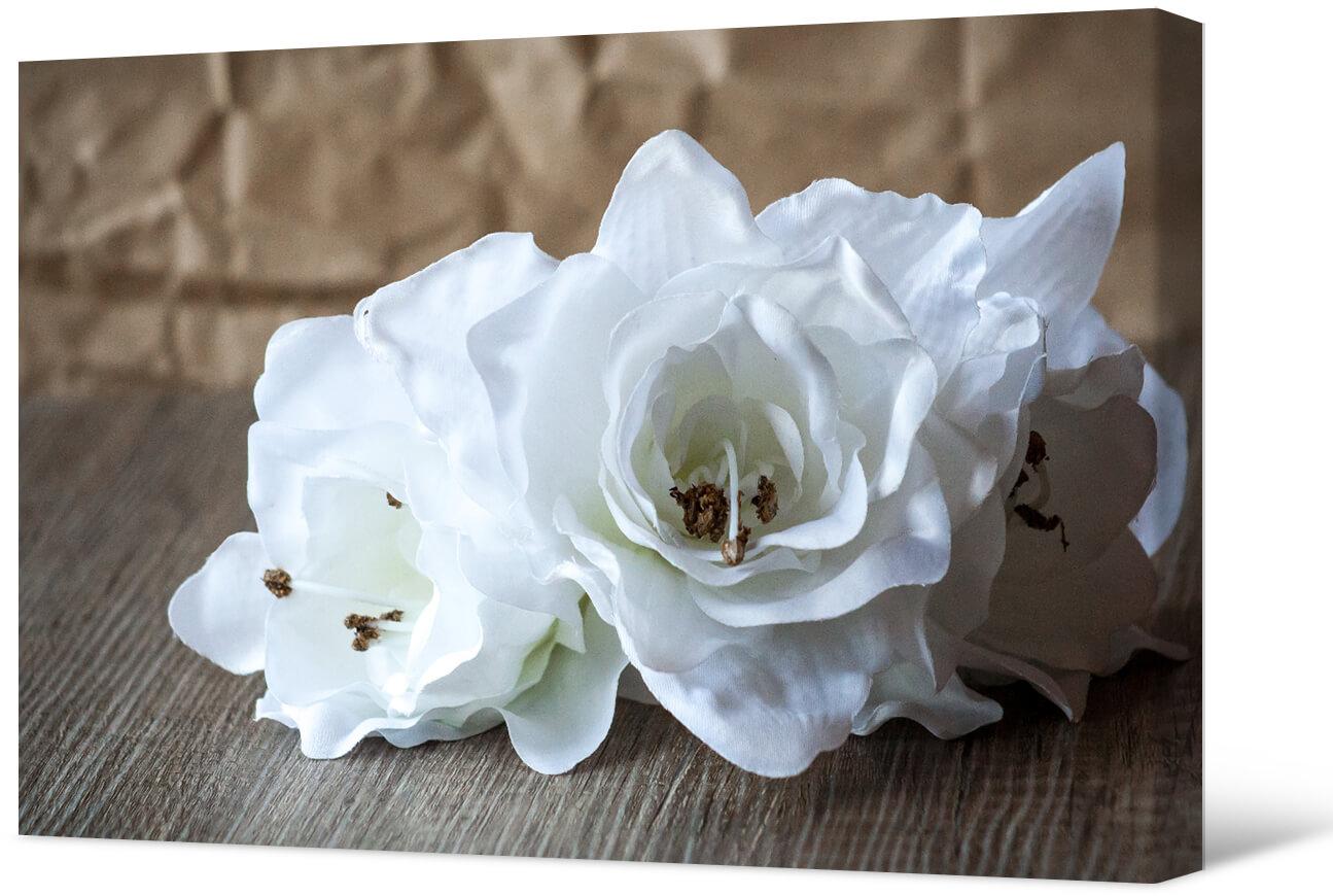 Baltos gėlės ant stalo