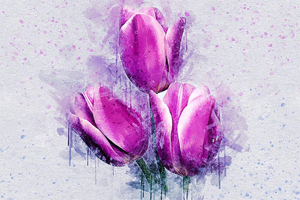 Watercolor tulips