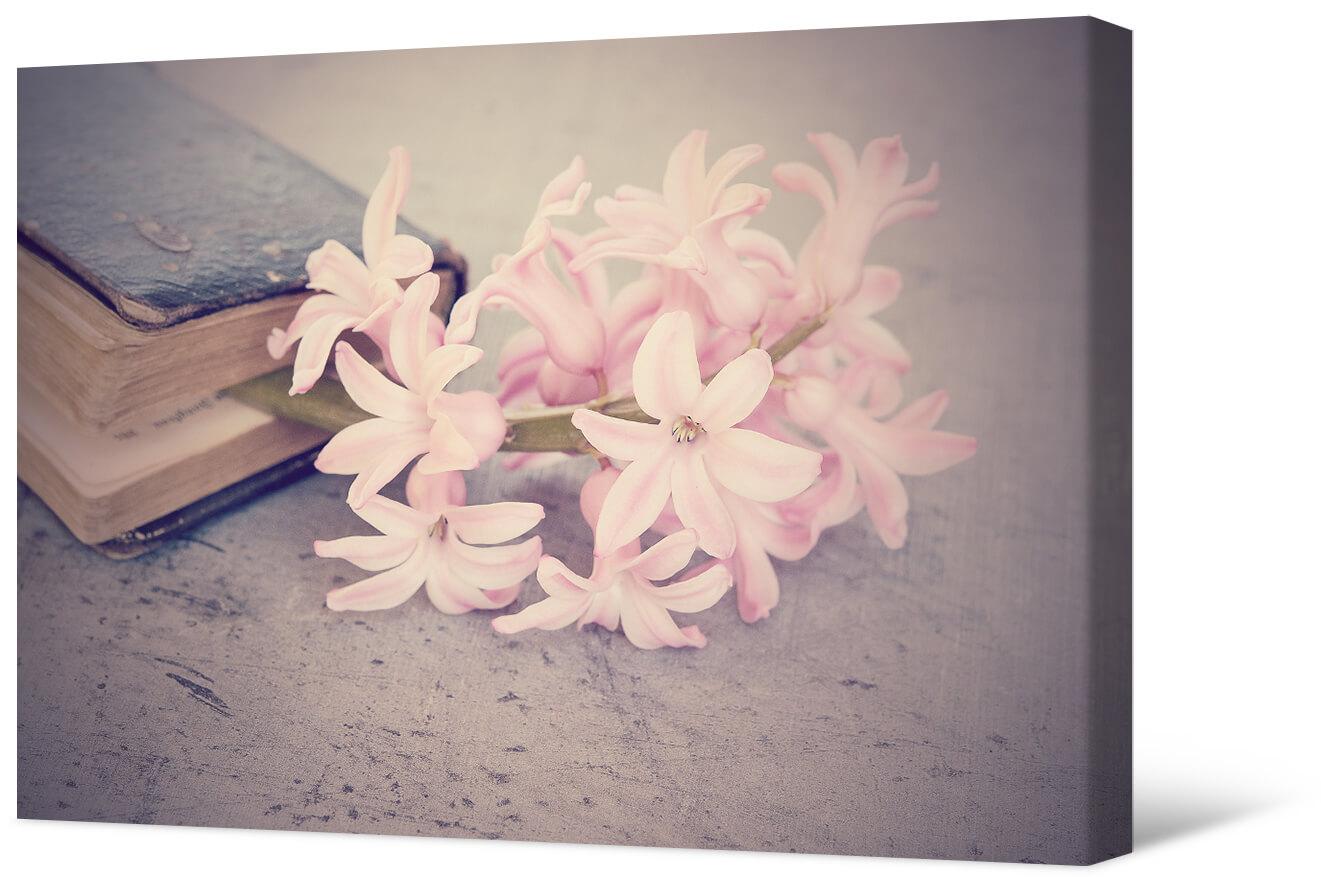 Bilde Rozā hiacinte un grāmata