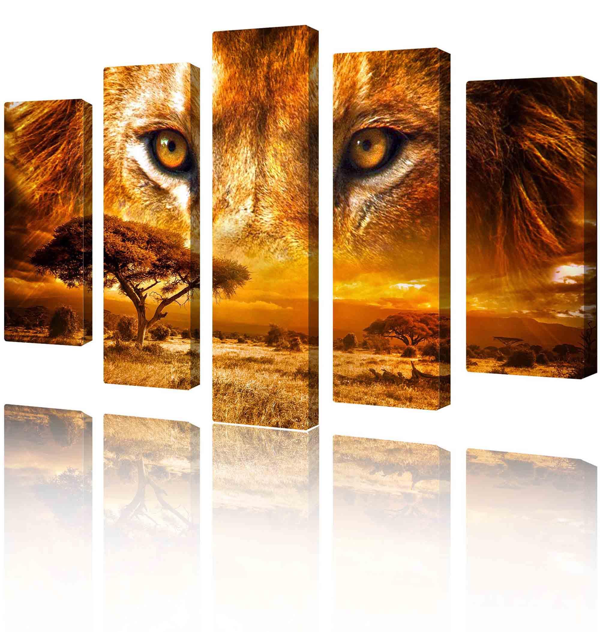 Moduļu attēls - lauvas acis virs savannas