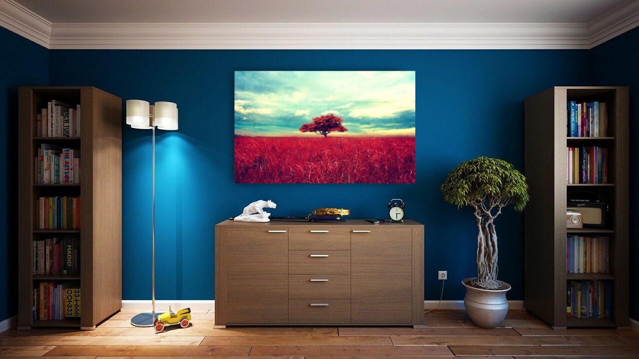 Red field with tree
