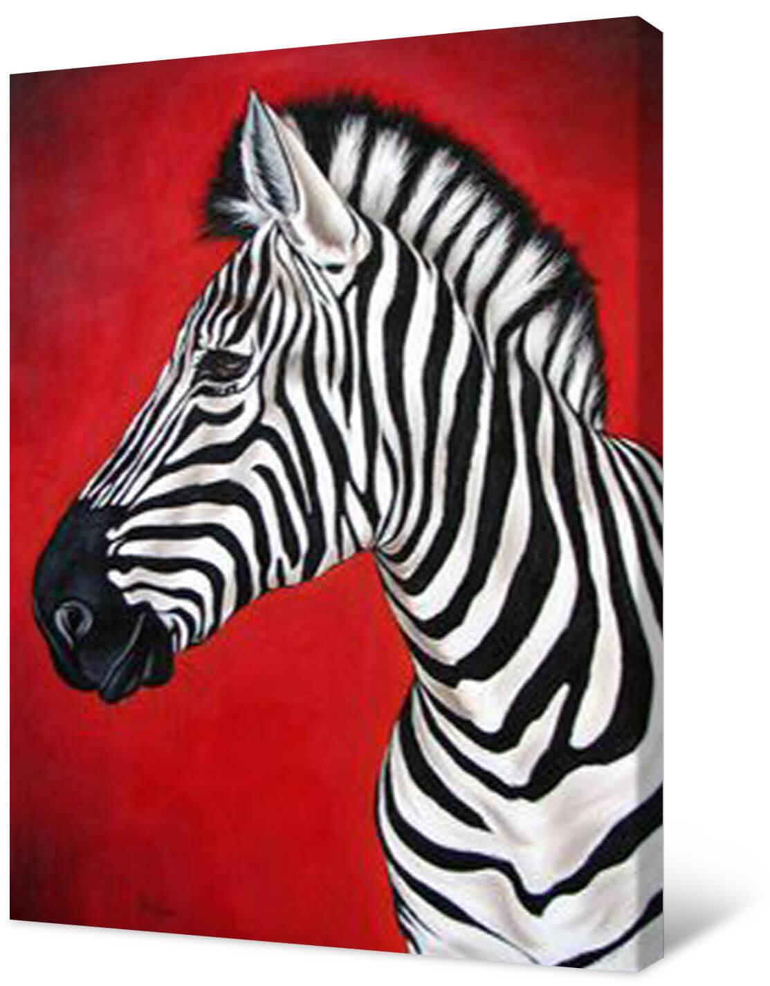 Picture Zebra