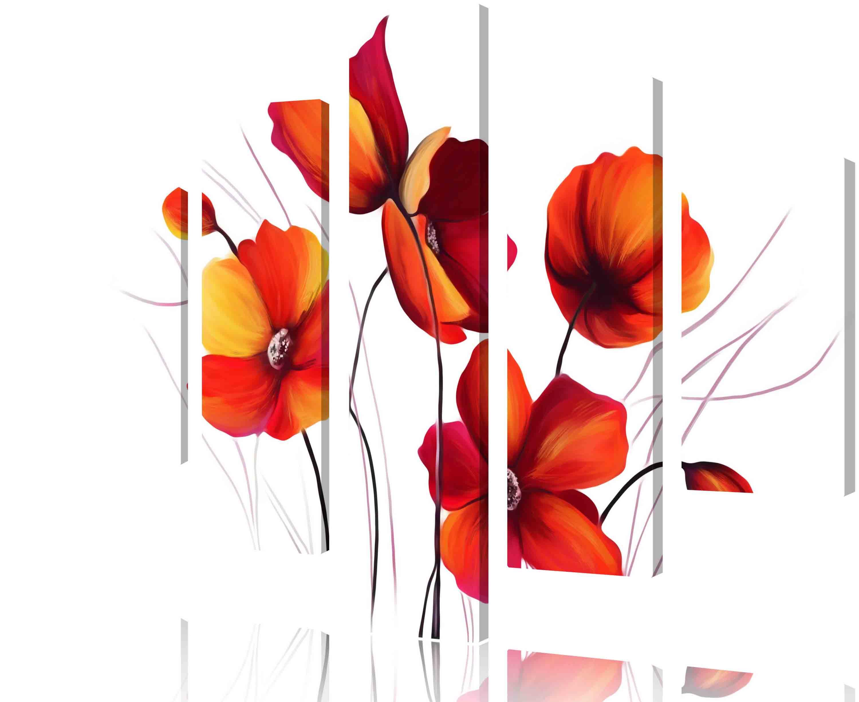 Bild Modulares Bild - Mohnblumen auf weißem Hintergrund
