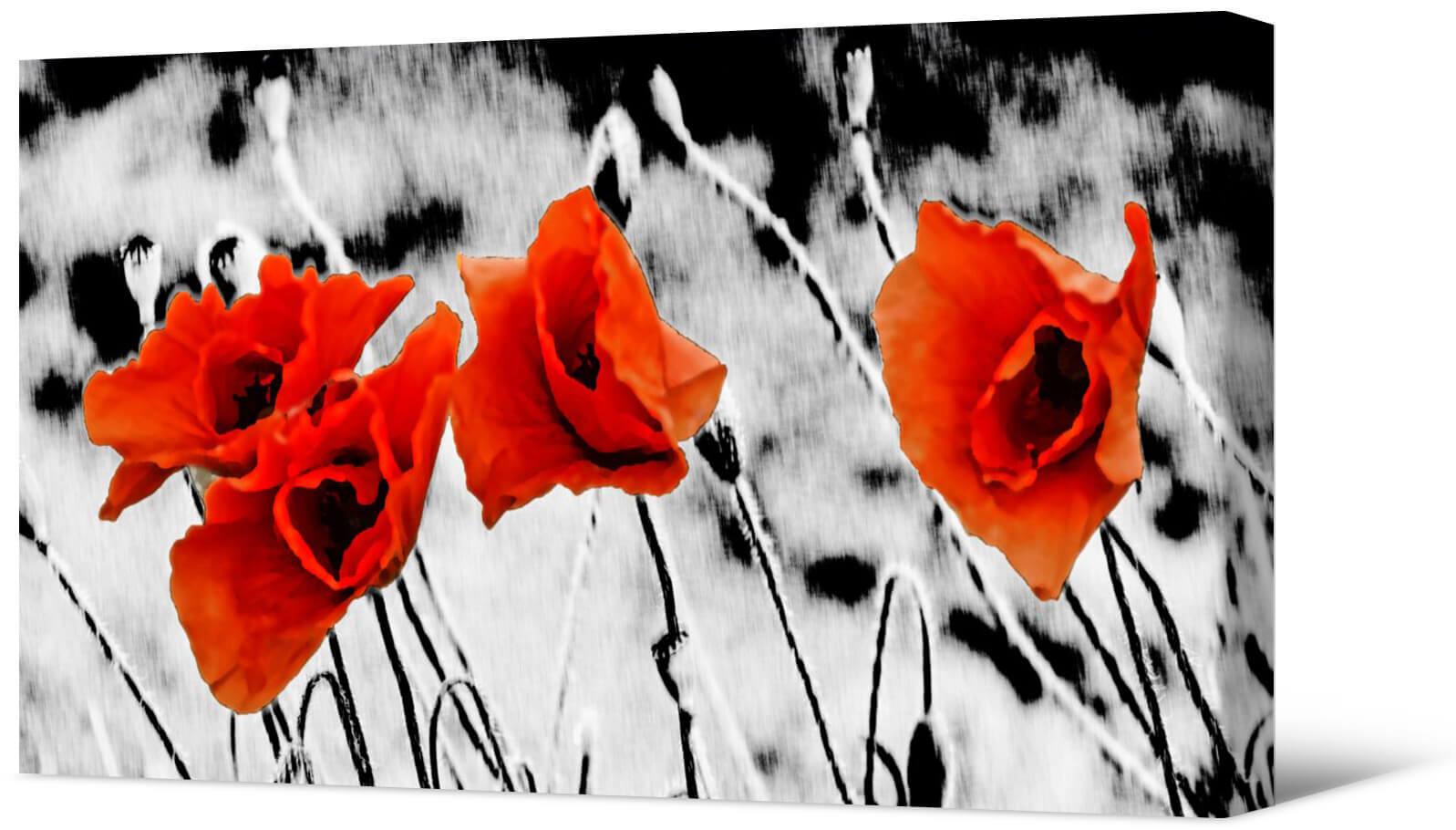 Picture Poppies