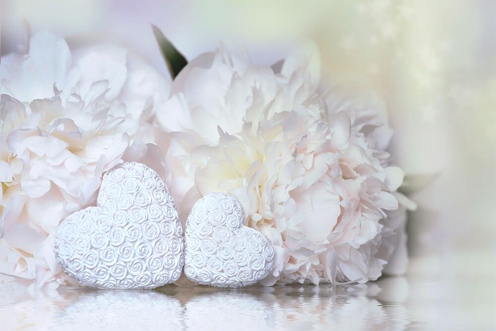 White peonies and hearts