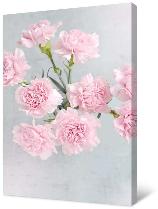 Blumenstrauß aus rosa Nelken