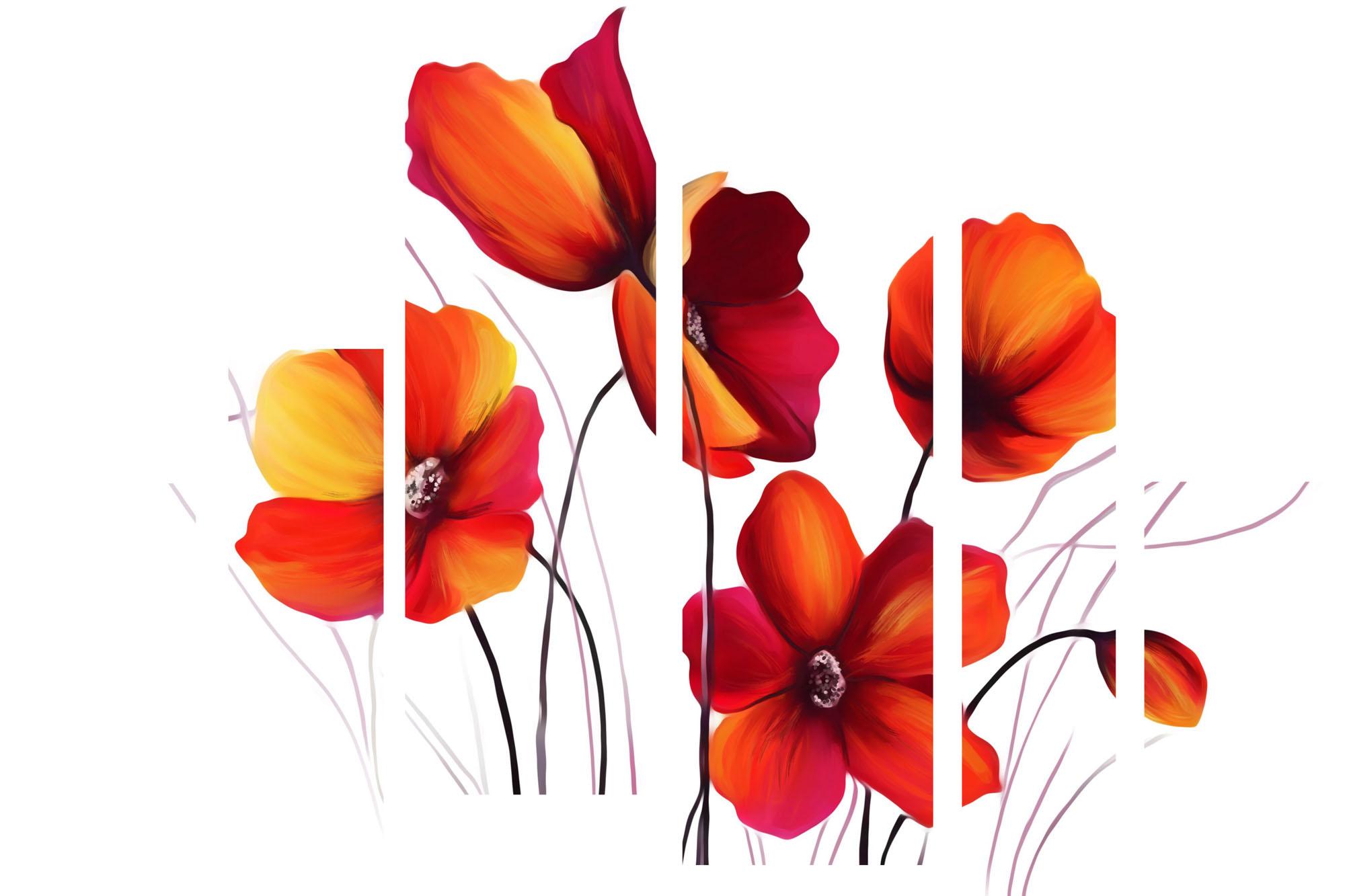 Picture Modular picture - poppies on a white background 3