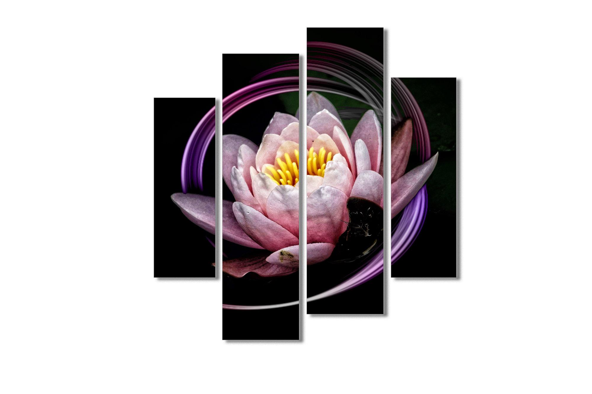 Picture Modular picture - blooming water lily on a black background 3