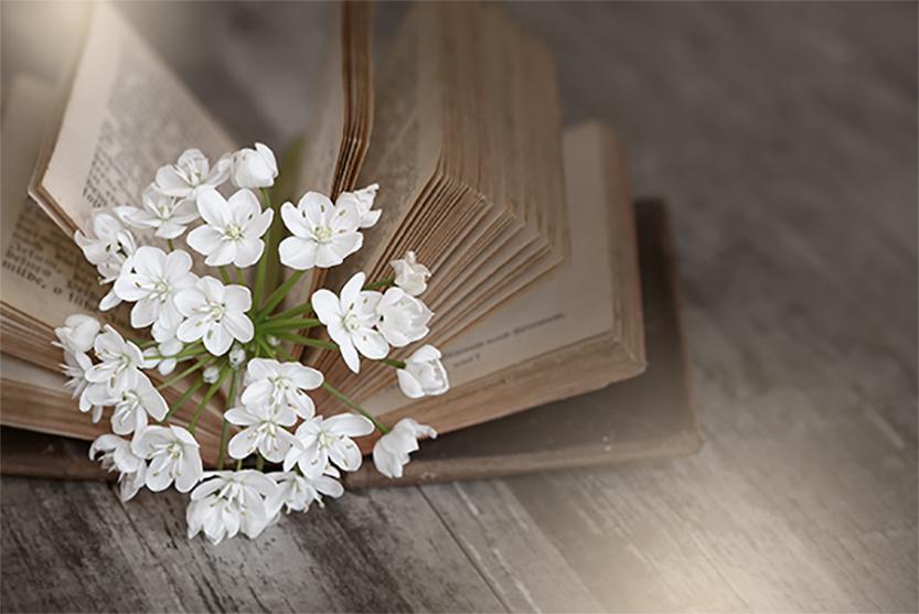 Book and flowering branch