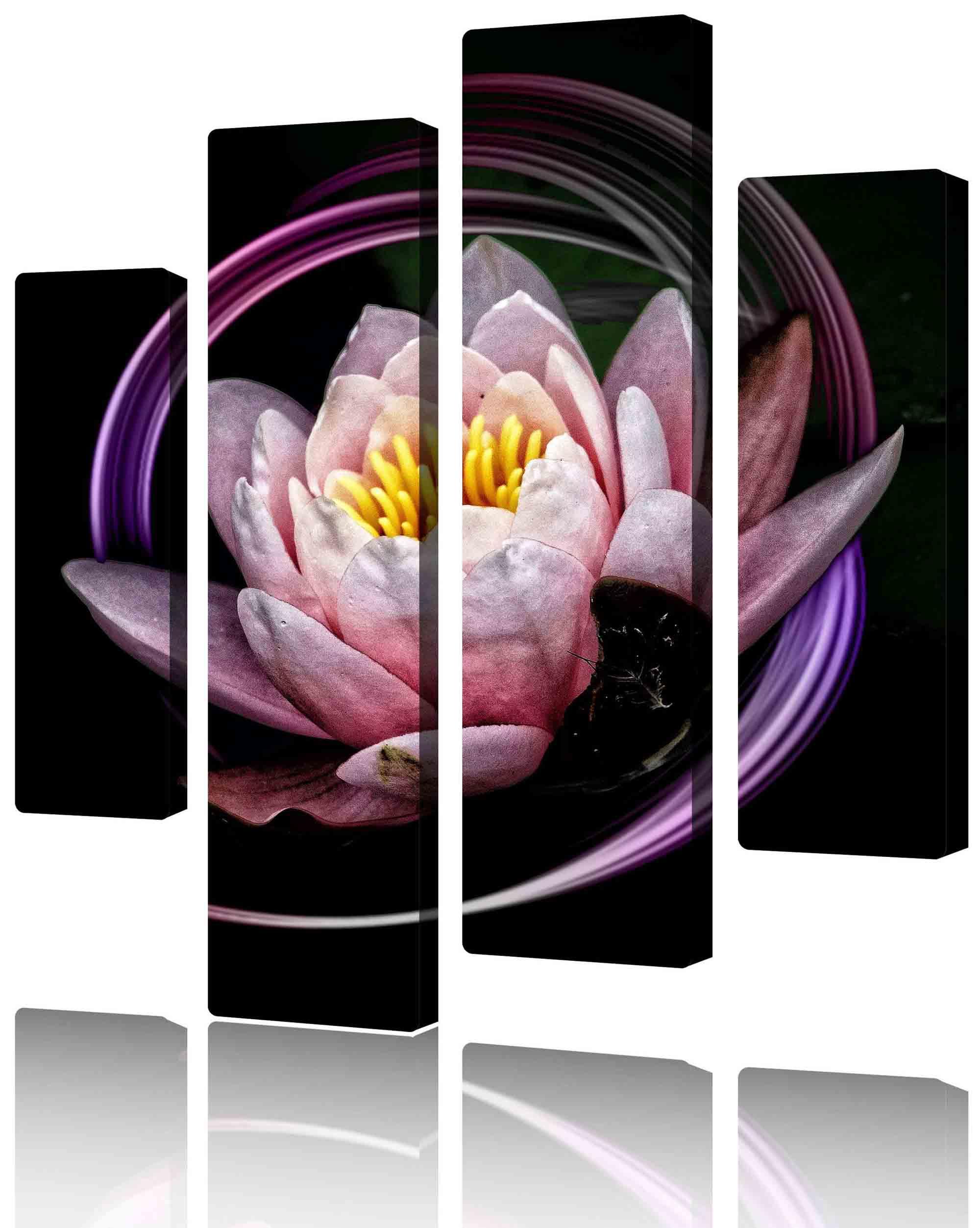 Bild Modulares Bild - blühende Seerose auf schwarzem Hintergrund