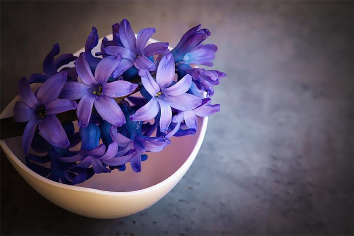 Kplu si me hyacinth le