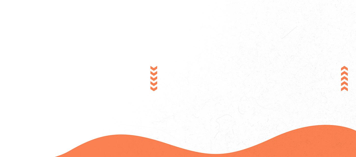 Viar Image